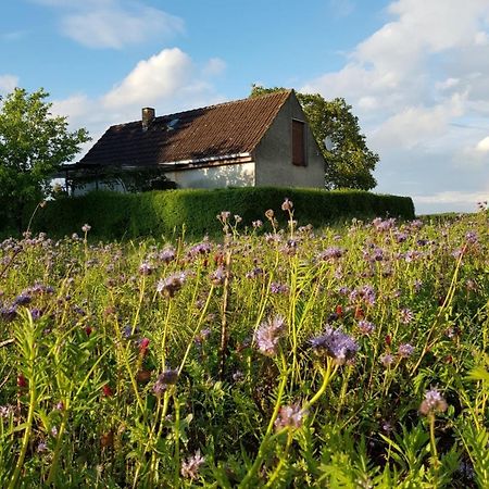 Ferienhaus Gransee Unmittelbar Am Stechlinsee - Radweg Extérieur photo
